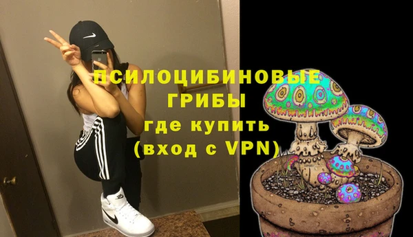 ПСИЛОЦИБИНОВЫЕ ГРИБЫ Надым
