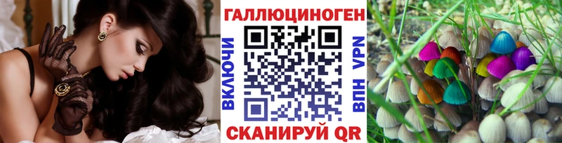 Псилоцибиновые грибы Psilocybe  Козьмодемьянск 