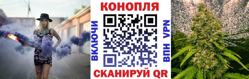 где можно купить наркотик  Козьмодемьянск  МАРИХУАНА White Widow 